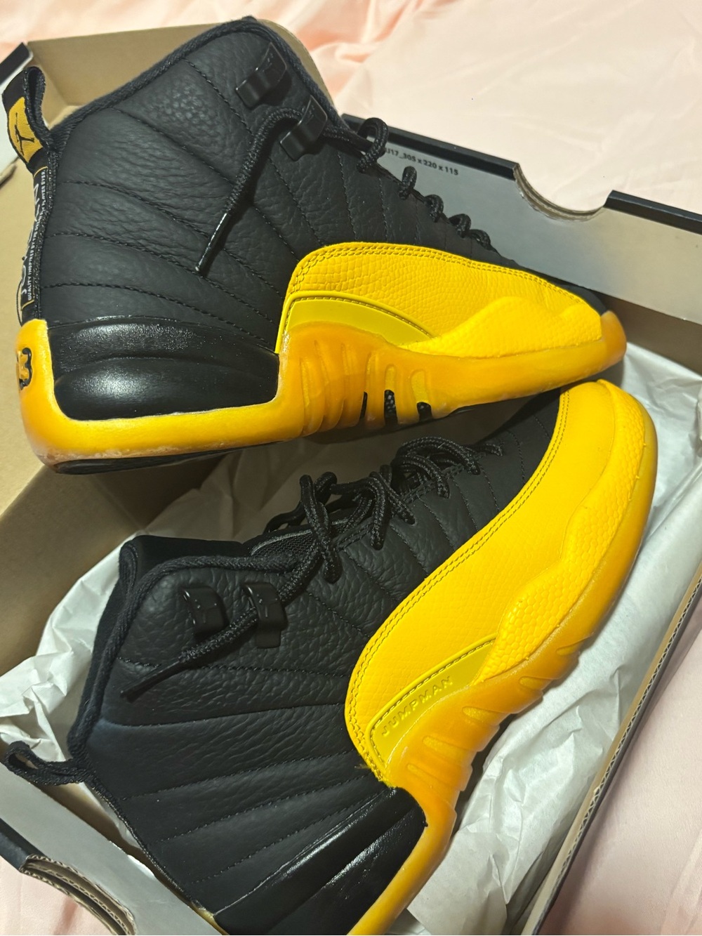 Jordan Air Jordan 12 Retro (GS) Black and University Gold